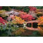 PUZZLE 1000 PEZZI ravensburger DAIGO-JI KYOTO softclick 70X50CM Ravensburger - 2
