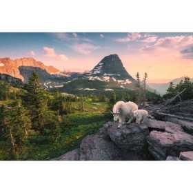 PUZZLE 3000 PEZZI ravensburger CAPRA ALPINA 121 x 80 cm