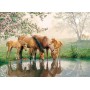 HORSE family PUZZLE cobble hill 350 PEZZI con poster CAVALLI COBBLE HILL - 2