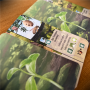 WOODLAND EDGE espansione per FOREST SHUFFLE asmodee IN ITALIANO età 10+ Asmodee - 4
