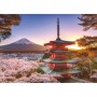 PUZZLE 1000 PEZZI ravensburger CILIEGI IN FIORE originale MONTE FUJI Ravensburger - 2