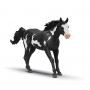 CASTRONE PAINT HORSE cavallo in resina SCHLEICH miniatura HORSE CLUB 14900 età 3+ Schleich - 1