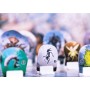 FROSTHAVEN edizione italiana GIOCO DA TAVOLO asmodee IN ITALIANO età 14+ Asmodee - 3