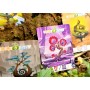 TREETOPIA gioco da tavolo SEMPLICE E VELOCE little rocket games IN ITALIANO età 8+ Little Rocket Games - 4