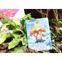TREETOPIA gioco da tavolo SEMPLICE E VELOCE little rocket games IN ITALIANO età 8+ Little Rocket Games - 5