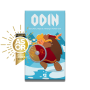 ODIN vichinghi GIOCO DI CARTE helvetiq IN ITALIANO età 7+ HELVETIQ - 2