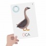 LAVAGNETTE leggo e scrivo CARTE headu GIOCO DIDATTICO età 3+ HEADU - 3