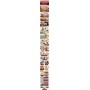 TRAIBLAZER THE ARIZONA TRAIL deluxe edition - 4