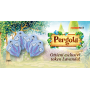 PERGOLA gioco da tavolo STRATEGIA E CREATIVITA' asmodee IN ITALIANO età 10+
