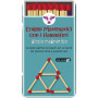 ENIGMI MATEMATICI CON I FIAMMIFERI gioco magnetico PORTATILE purple cow IN ITALIANO età 10+