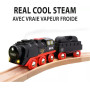 SET TRENO A VAPORE DI NATALE ferrovia BRIO treni in legno TRENINO A BATTERIA 36014 età 3+