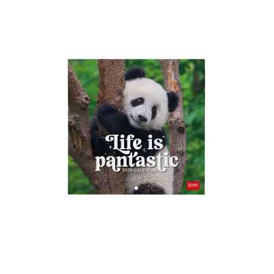 CALENDARIO DA PARETE 2026 legami LIFE IS PANDASTIC panda 18 X 18 CM piccolo