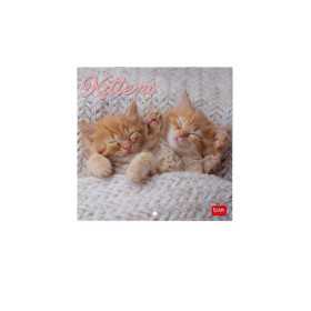 CALENDARIO DA PARETE 2026 legami KITTENS gattini 18 X 18 CM piccolo