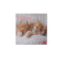 CALENDARIO DA PARETE 2026 legami KITTENS gattini 18 X 18 CM piccolo
