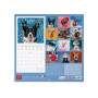 CALENDARIO DA PARETE 2026 legami SUPAWSTAR cani 30 X 29 CM grande