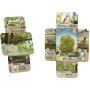 FOREST SHUFFLE DARTMOOR gioco da tavolo STANDALONE asmodee IN ITALIANO età 10+