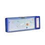 PORTAPENNE MULTIFUNZIONE astuccio rigido SJ GANG seven BOY blu LEONE
