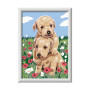 CREART kit artistico CUDDLY ravensburger 10 COLORI con cornice GOLDEN RETRIEVERS età 7+