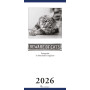 CALENDARIO 2026 da parete VERTICALE beware of cats GATTI spiralato IL CASTELLO