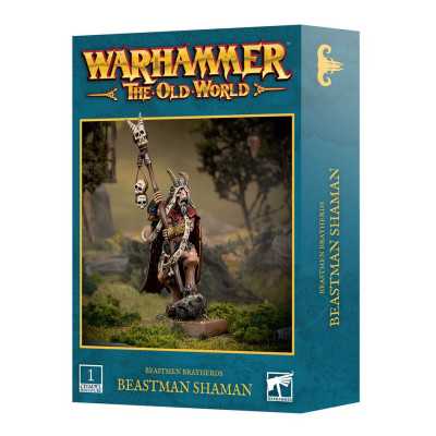 BEASTMAN SHAMAN miniatura BEASTMEN BRAYHERDS warhammer THE OLD WORLD età 12+