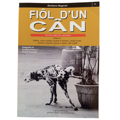 FIOL D'UN CAN proverbi e modi di dire sugli animali vol 2 SIGEM giuliano bagnoli