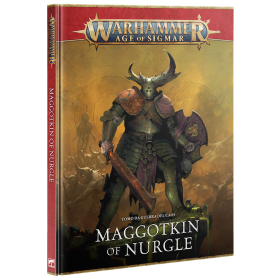 TOMO DA GUERRA del caos MAGGOTKIN OF NURGLE manuale IN ITALIANO warhammer AGE OF SIGMAR età 12+