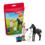 SET PER LA CURA DEI PULEDRI pocket set FARM WORLD miniature in resina SCHLEICH 42755 età 5+