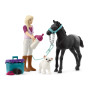 SET PER LA CURA DEI PULEDRI pocket set FARM WORLD miniature in resina SCHLEICH 42755 età 5+