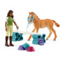 SET PER L'ADDESTRAMENTO DEI PULEDRI pocket set FARM WORLD miniature in resina SCHLEICH 42756 età 5+