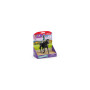 LISA & STORM cavallo in resina SCHLEICH miniatura HORSE CLUB 42712 età 3+