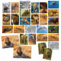 MEMORIX memory con 108 carte ANIMALI gioco educativo HEADU età 5+