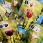 FIORI DI CRISTALLO gioco da tavolo GESTIONALE ghenos games IN ITALIANO età 8+