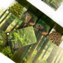 FOREST SHUFFLE gioco da tavolo in italiano Asmodee
