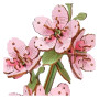 SAKURA ciliegio ROWOOD in legno ROBOTIME wooden bloom craft TW101 età 8+