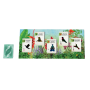 WINGSPAN espansione AMERICHE gioco da tavolo IN ITALIANO età 14+
