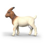 CAPRA BOERA schleich FARM WORLD miniatura in resina 14929 età 3+