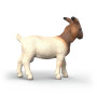 CAPRA BOERA schleich FARM WORLD miniatura in resina 14929 età 3+
