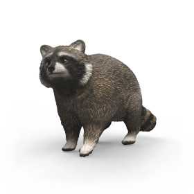 PROCIONE schleich WILD LIFE miniatura in resina 14937 età 3+