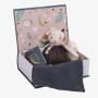 LIBRO DELLA BUONANOTTE peluche topolino APRES LA PLUIE pupazzo MOULIN ROTY età 2+