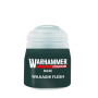 Waaagh! Flesh BASE Citadel colore Warhammer