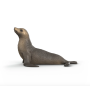 LEONE MARINO sea lion ANIMALI in resina WILD LIFE schleich 14933 età 3+