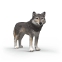 LUPO AMERICANO wolf ANIMALI in resina WILD LIFE schleich 14991 età 3+