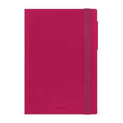 AGENDA 2026 2027 giornaliera LEGAMI da 16 mesi MEDIUM media RASPBERRY JAM day