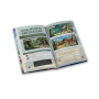 GATES OF KRYSTALIA gioco da tavolo HERO KIT top notch IN ITALIANO gioco di ruolo