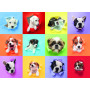 PUZZLE 300 PEZZI XXL ravensburger PUPPY POP OUT perfect age fit ORIGINALE età 9+