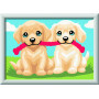 CREART kit artistico CUCCIOLI GIOCHERELLONI ravensburger 10 COLORI con cornice QUADRO età 7+