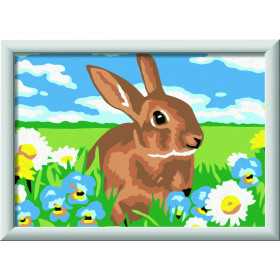 CREART kit artistico SWEET BUNNY ravensburger 10 COLORI con cornice QUADRO età 9+