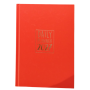 AGENDA 2027 biembi DAILY PLANNER cartonata ROSSO giornaliera DAY un giorno tira l'altro