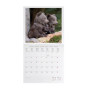 CALENDARIO 2027 da parete BABY ANIMALS quadrato LEGAMI cm30x30