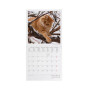 CALENDARIO 2027 da parete CATS quadrato LEGAMI cm30x30